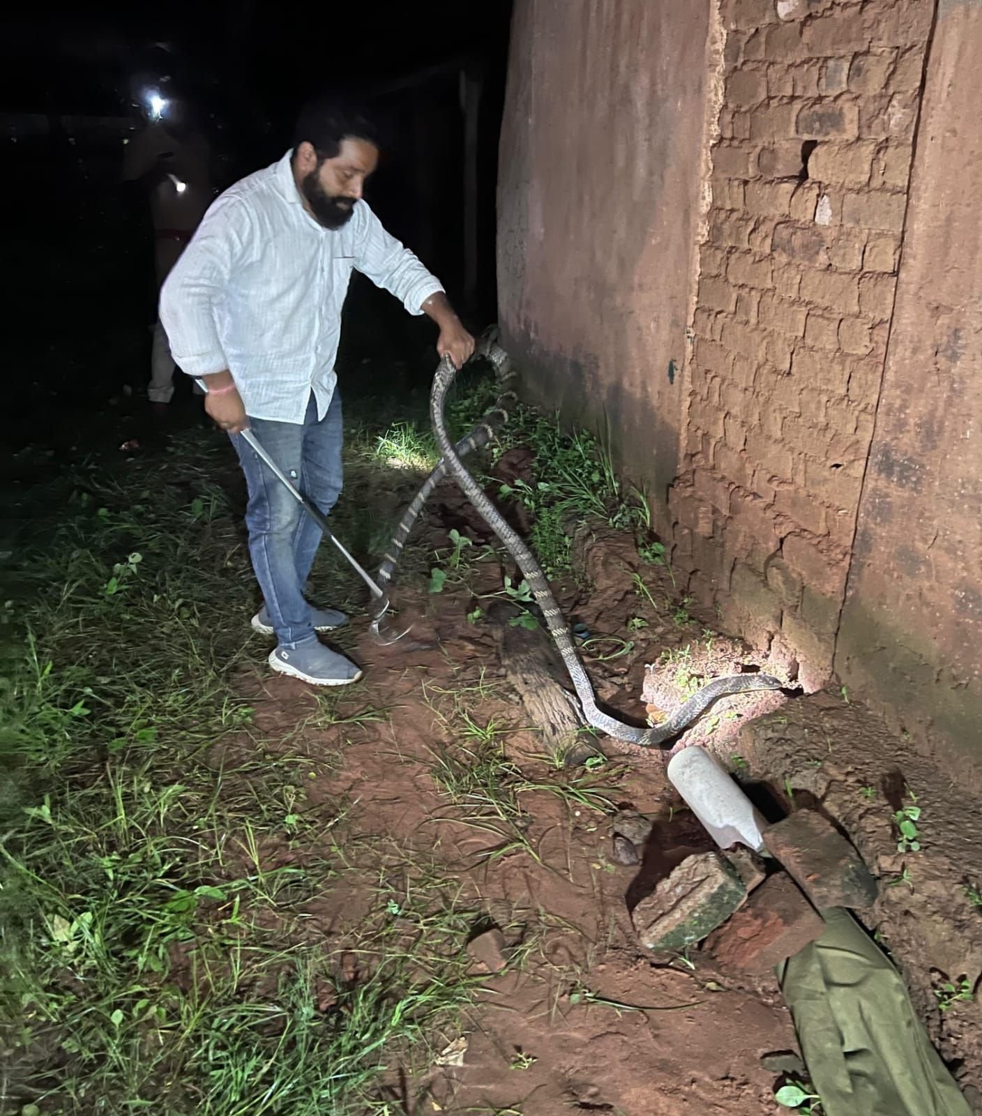 रजगामार क्षेत्र के केसला गांव में किंग कोबरा,खपरैल में घुस कर बैठे किंग कोबरा का किया गया रेस्क्यु।